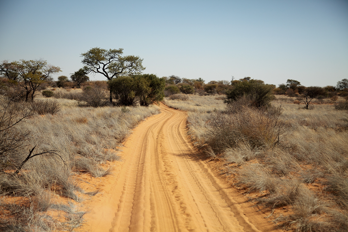 The Fab Four Conquer The Kalahari - En Route to Mabuasahube - Image 11