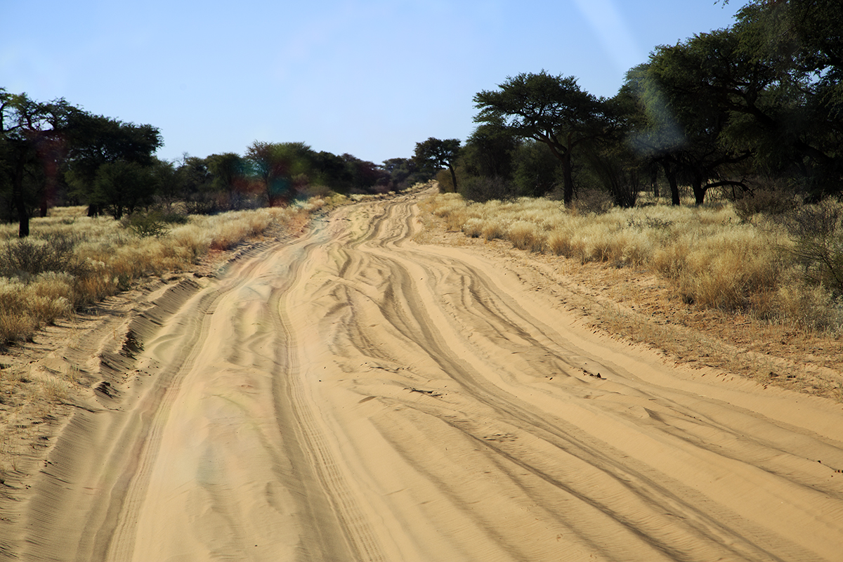 The Fab Four Conquer The Kalahari - En Route to Mabuasahube - Image 12