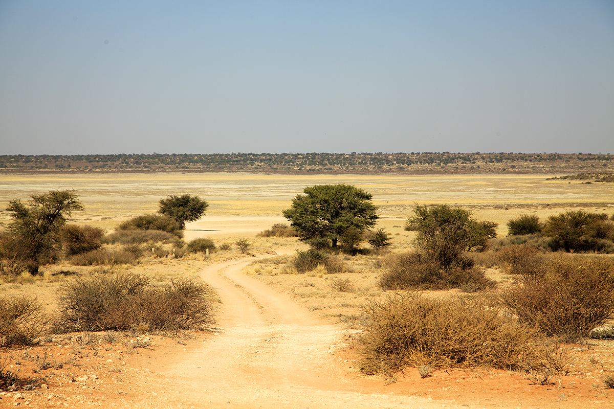 The Fab Four Conquer The Kalahari - En Route to Mabuasahube - Image 20