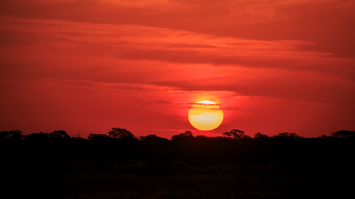 The Fab Four Conquer The Kalahari - En Route to Mabuasahube - Image 27