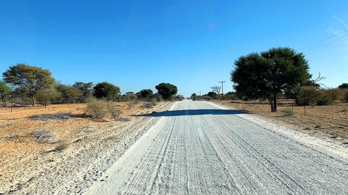 The Fab Four Conquer The Kalahari - En Route to Mabuasahube - Image 28