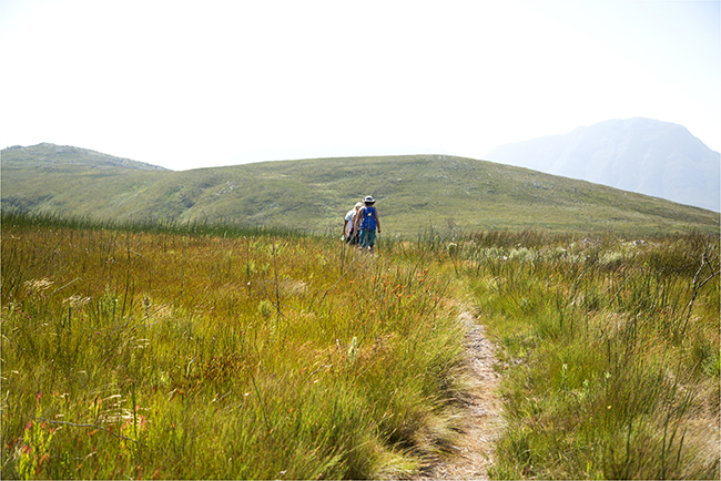 The Weakest Link Takes A Hike - Image 16