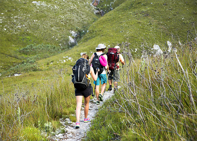 The Weakest Link Takes A Hike - Image 18
