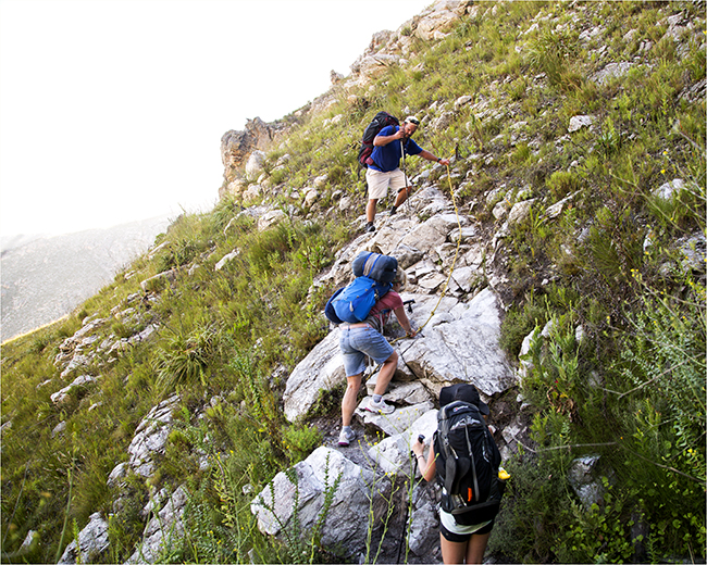 The Weakest Link Takes A Hike - Image 4