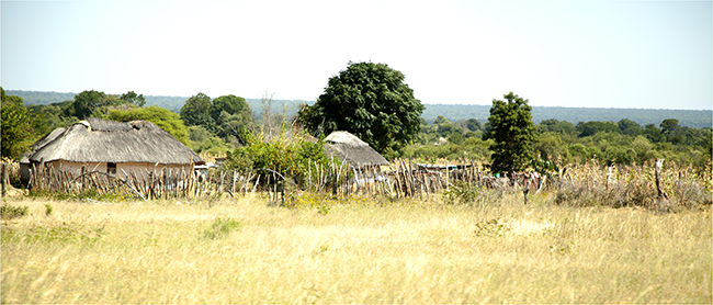 Time Travels Through Zimbabwe - Image 10
