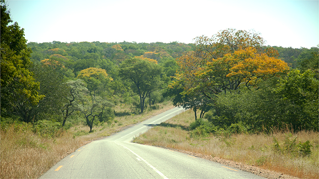 Time Travels Through Zimbabwe - Image 13