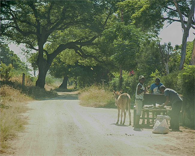 Time Travels Through Zimbabwe - Image 22