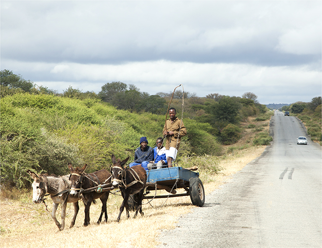 Time Travels Through Zimbabwe - Image 25
