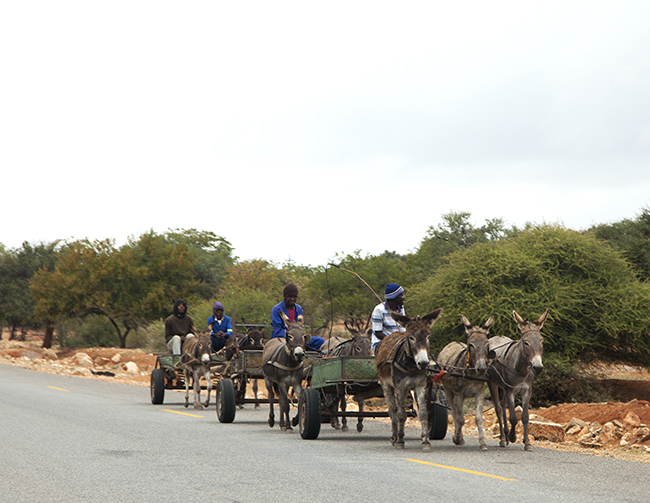 Time Travels Through Zimbabwe - Image 26