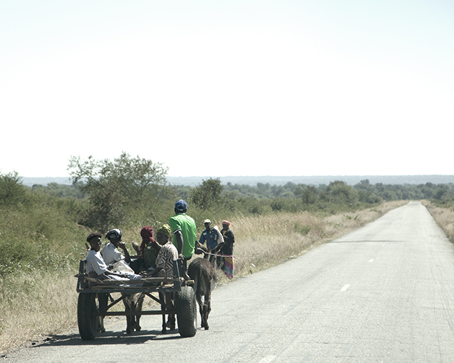 Time Travels Through Zimbabwe - Image 7