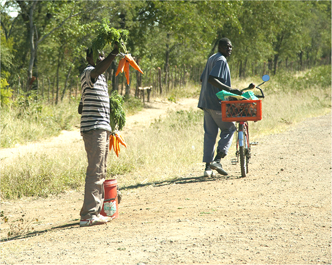 Time Travels Through Zimbabwe - Image 9