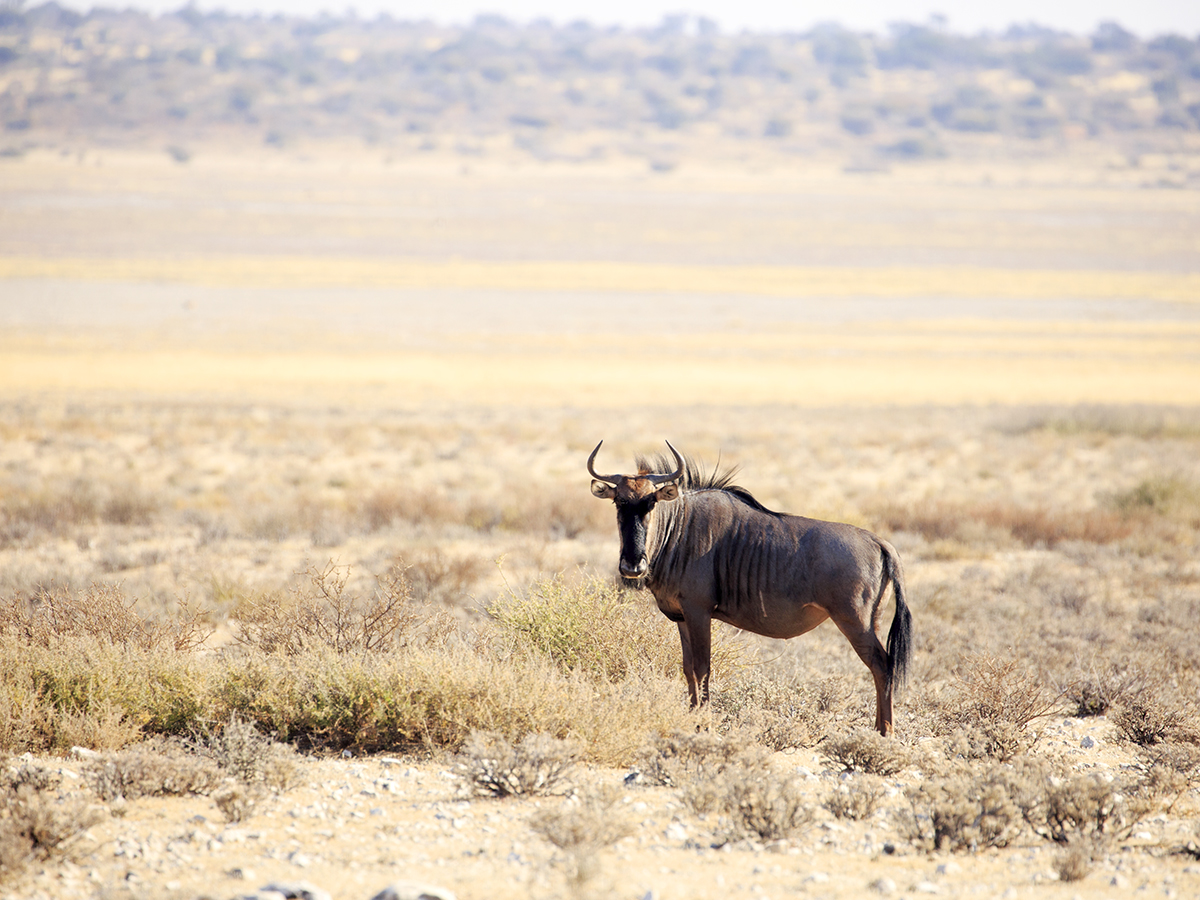 Tips And Tricks For Camping, Overlanding Or Roadtripping - Image 4
