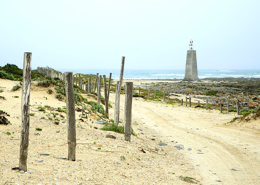 To Arniston With A Surfboard - Image 10
