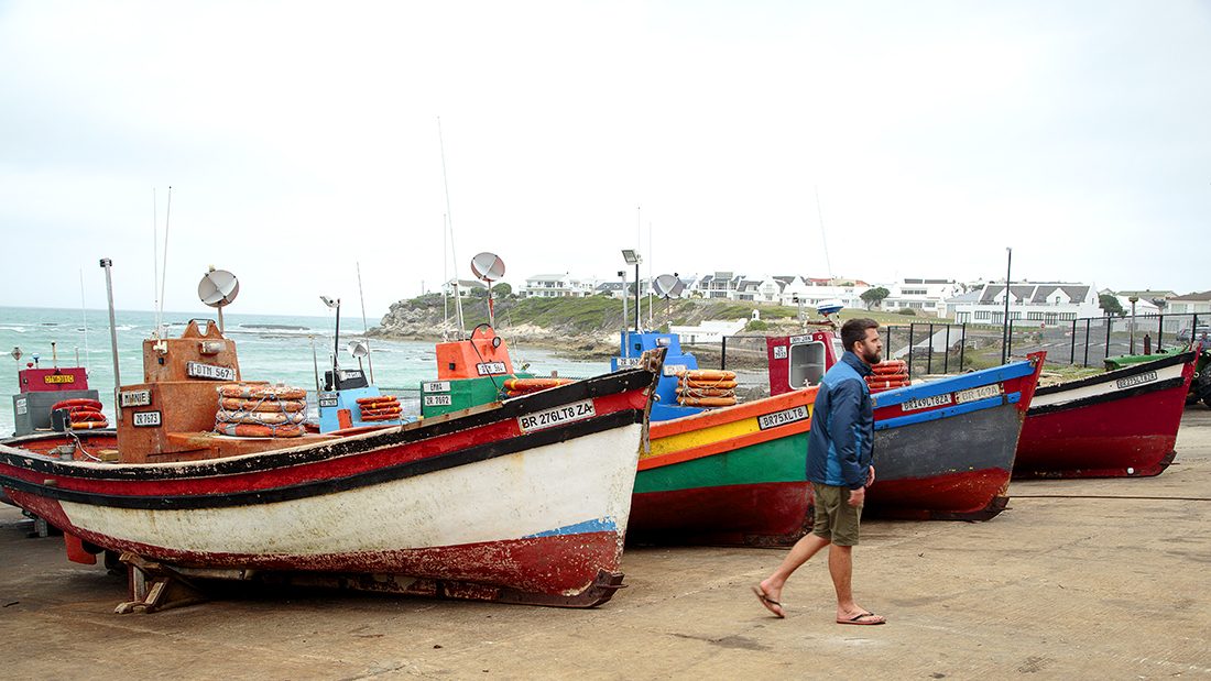 To Arniston With A Surfboard - Image 2