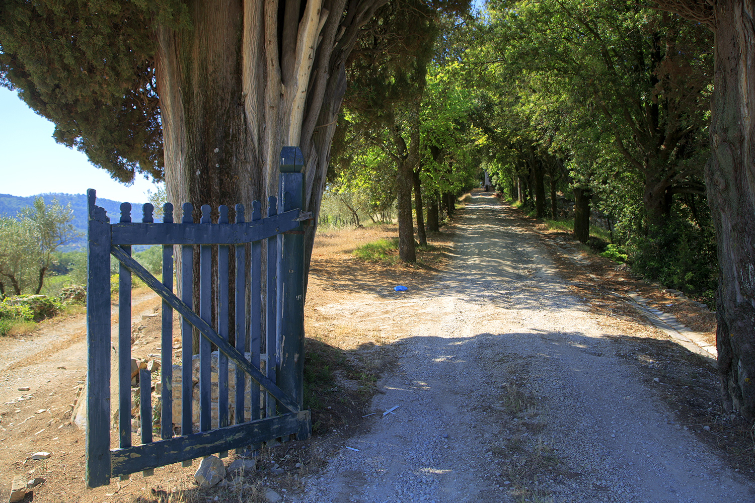Travels With Tozers Tuscan Tours - Image 16