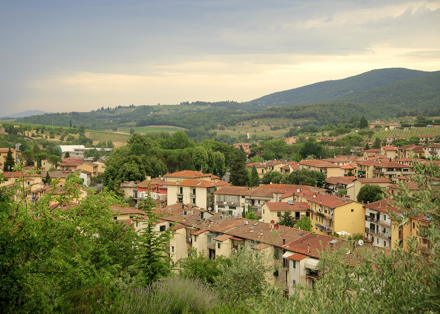 Travels With Tozers Tuscan Tours - Image 46