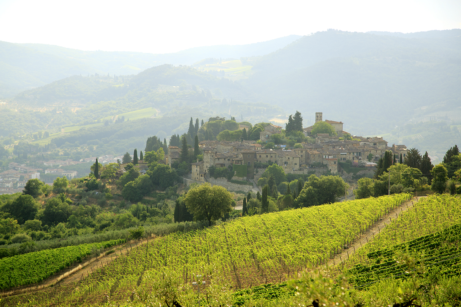 Travels With Tozers Tuscan Tours - Image 54