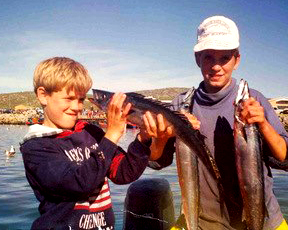 Tuesdays are for no ordinary fish - Image 2