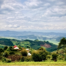  I Wonder Rwanda, Is it All Tea Trees, Rainforests and Gorillas?