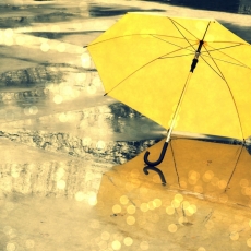 12  Fun Things To Do During A Wet Spell