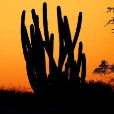 First days in Namibia – Lapa Lange Guest Farm