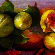 Figs, Frogs and Red Onions