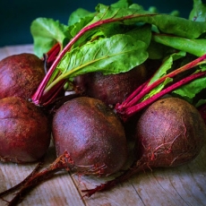 Rooting For Beets