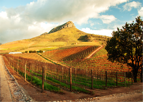 Indochine: Stellenbosch