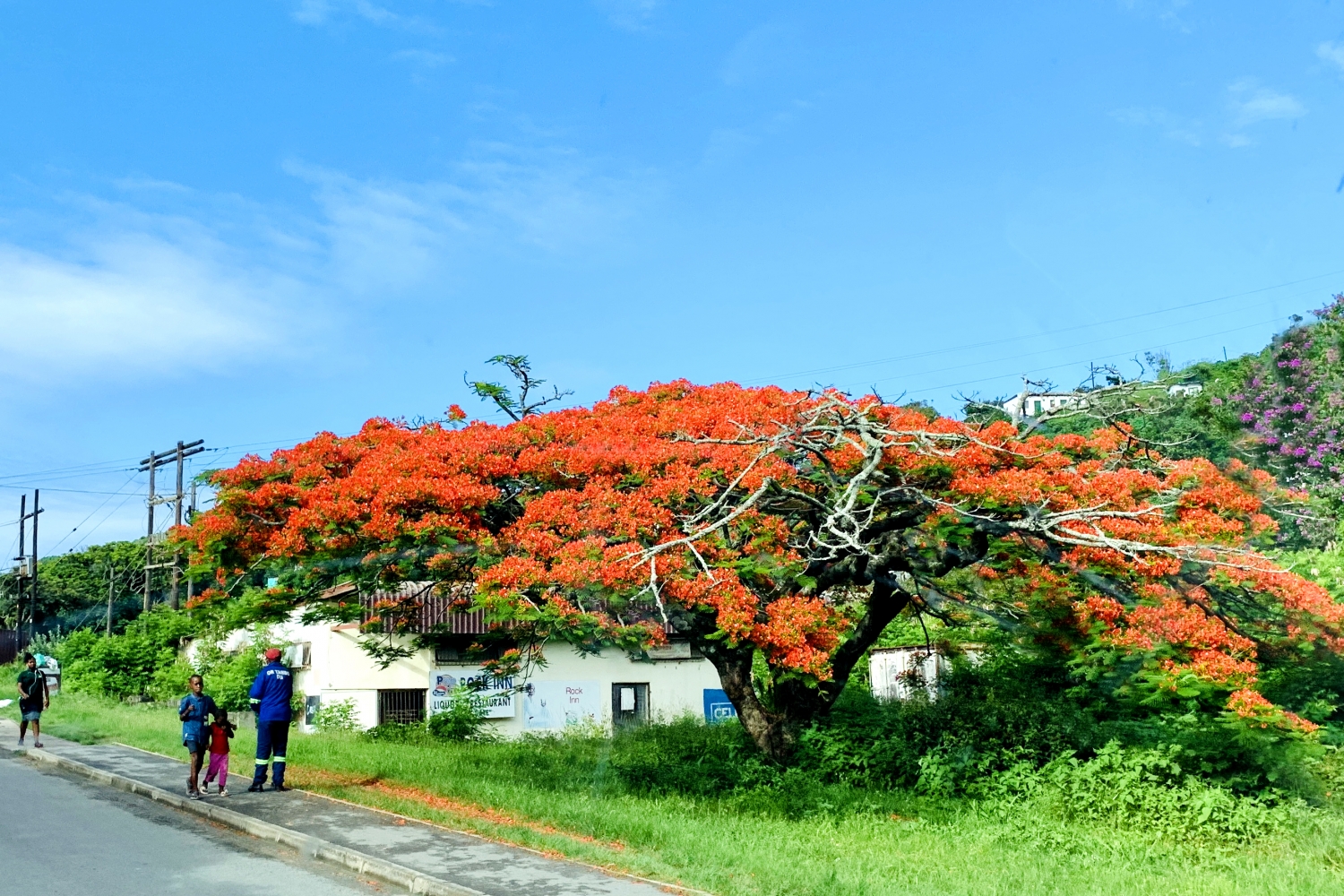 A One Night Stand - Cremorne Holiday Resort - Port St John's - Fabulously Flamboyant