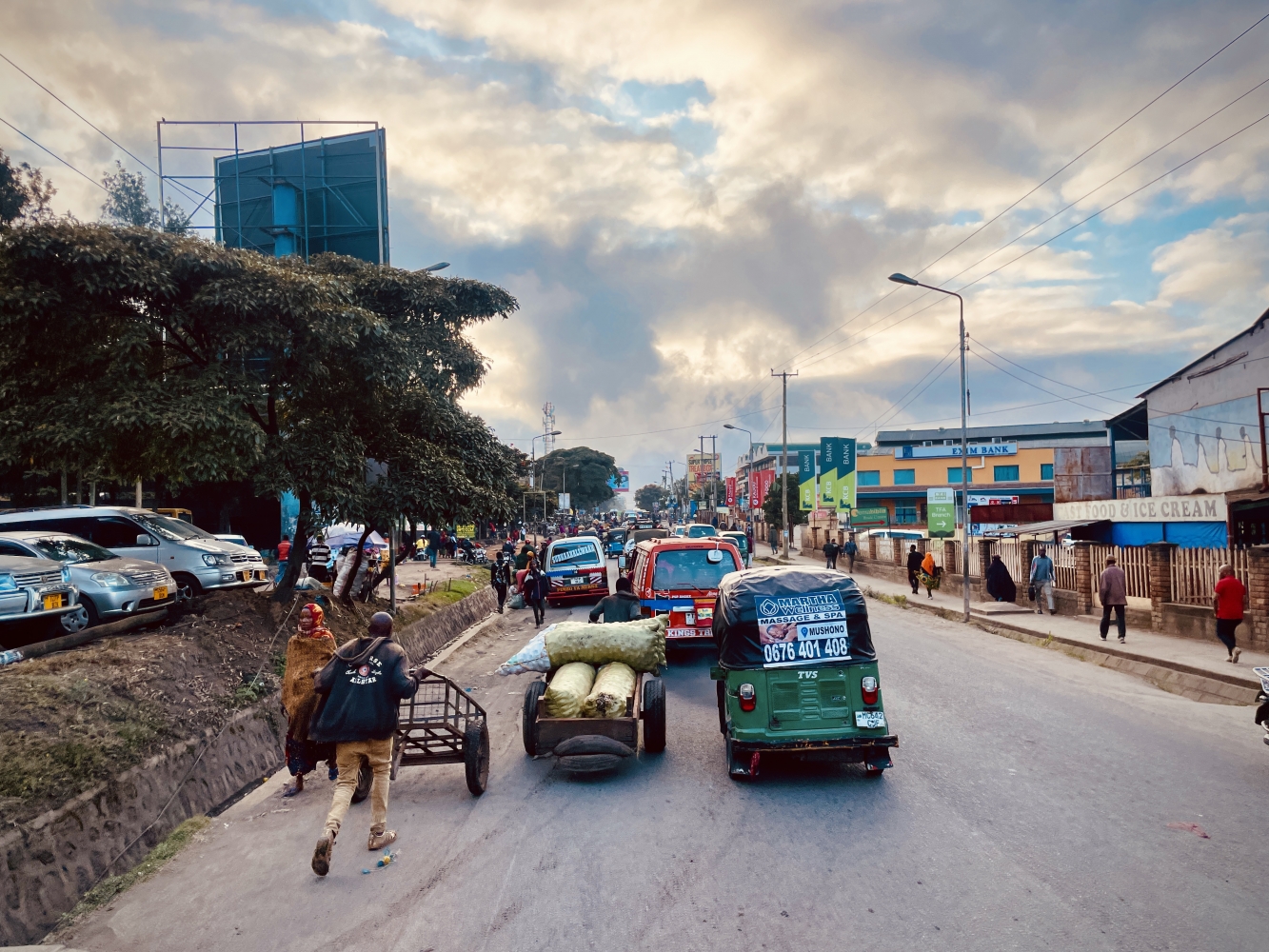 Arusha and Life With A Honey Badger