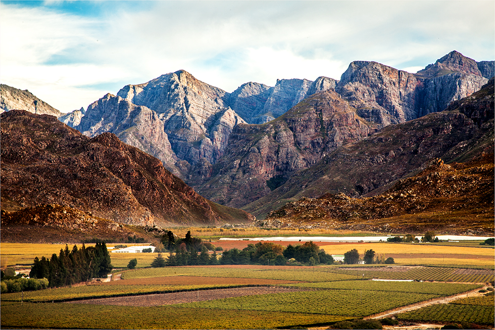 Autumn In De Doorns