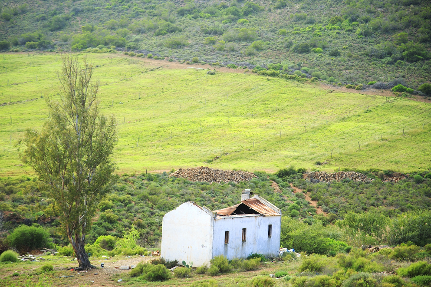 Bonnievale River Lodge And White Linen Camping
