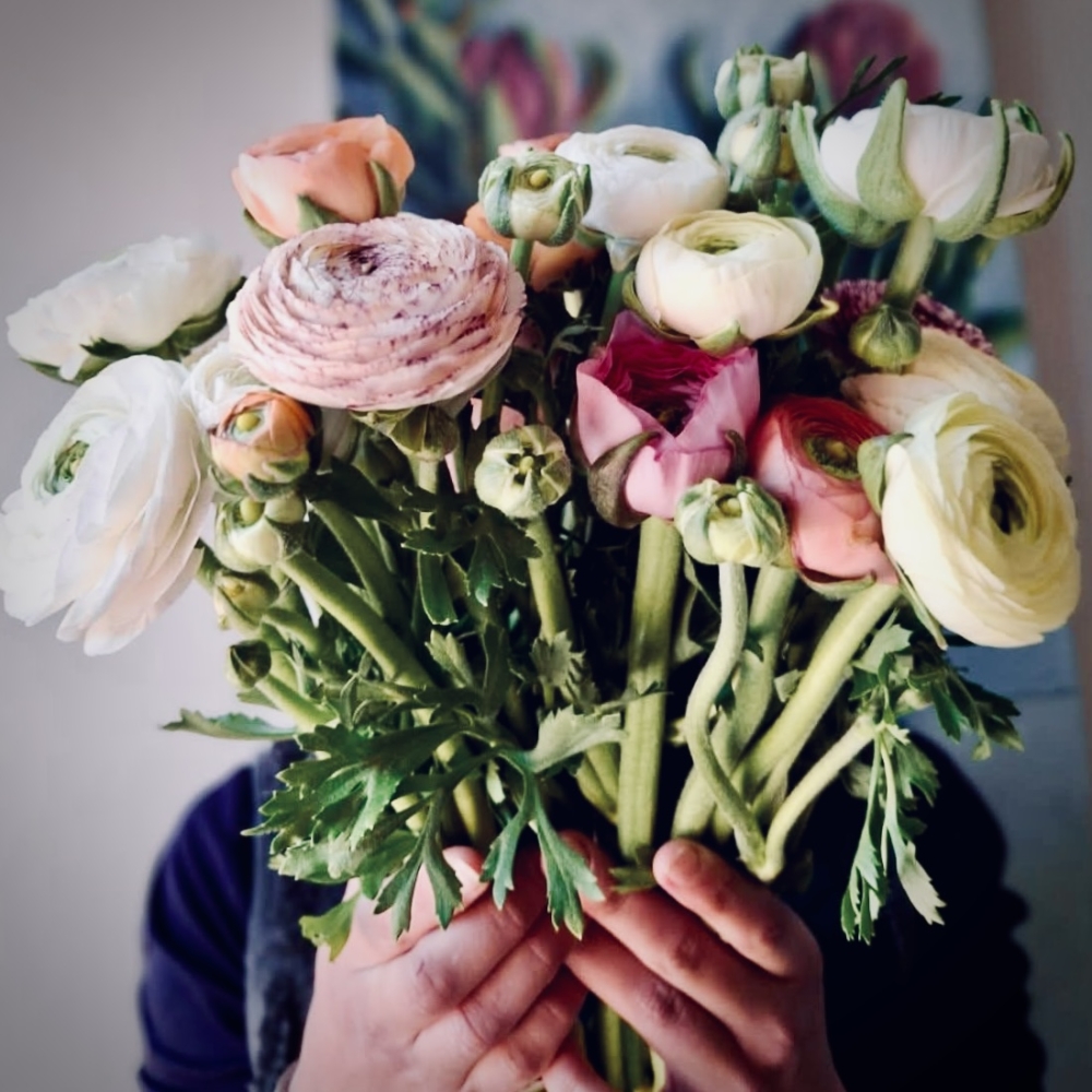 Canada Capers - Catching Up At Last - Part 2