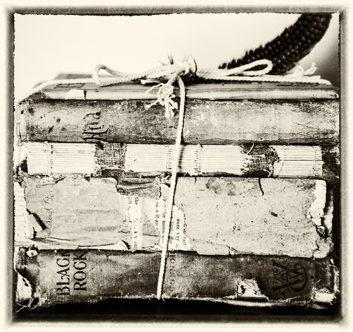 Can't Live Without Books