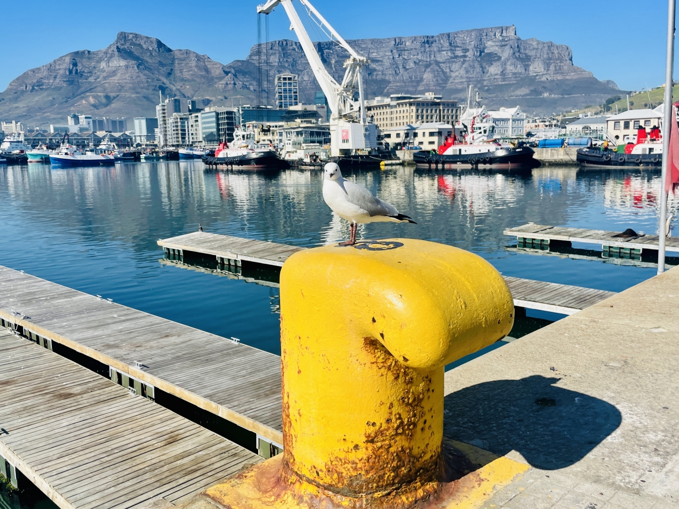 Cape Town Capers – Making The Most Of The Mother Of All Cities
