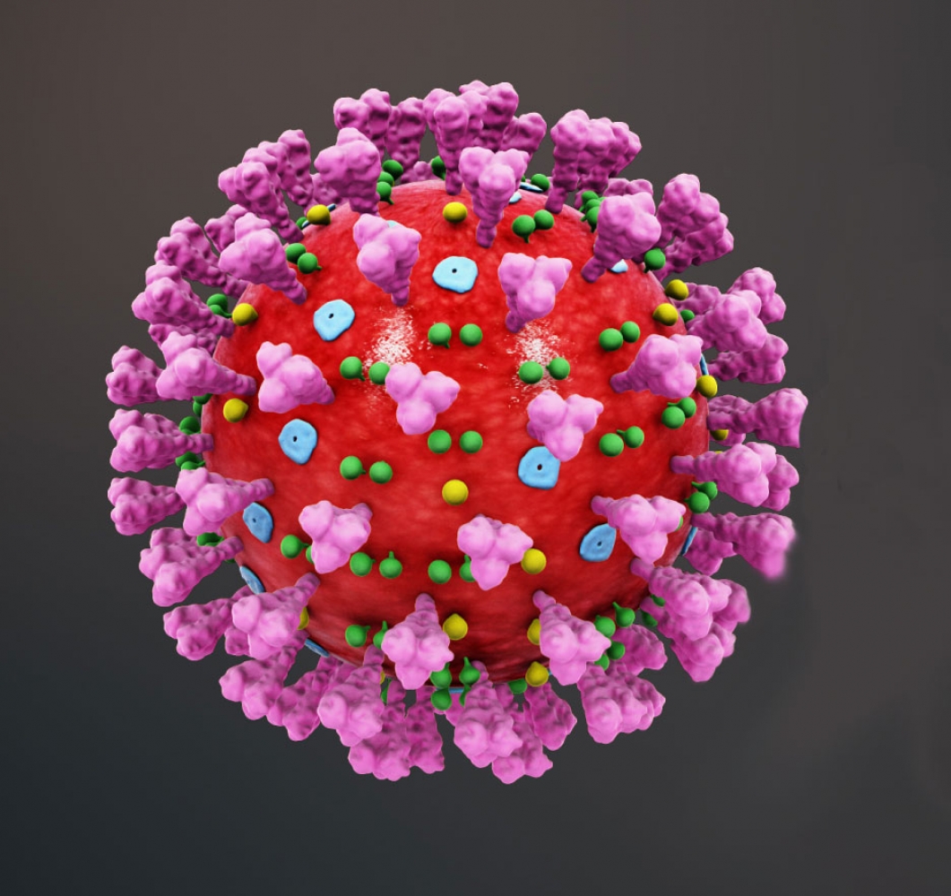 Could be, Should be, Would Be. The Year that was  –  2020