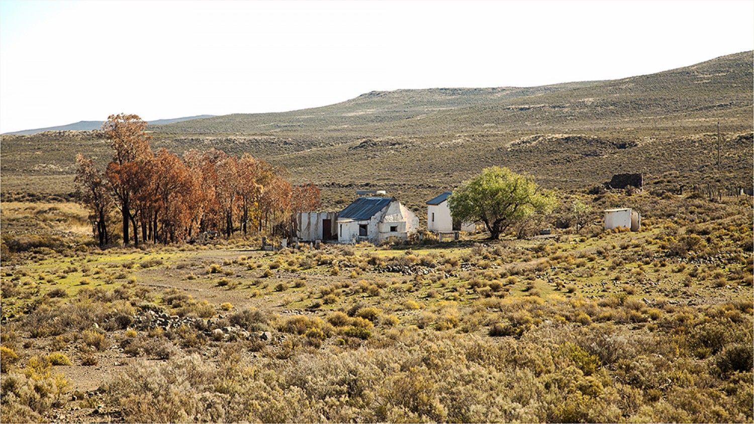 Courting Candles And Dirt Roads In The Karoo