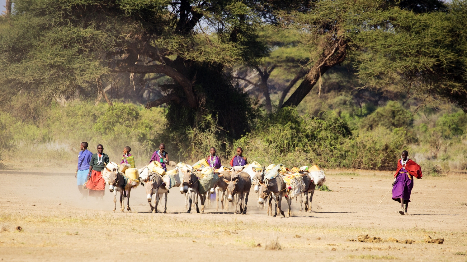 Driving Diesel, Dust, Donkeys - Daring Enduimet Wildlife Management Area