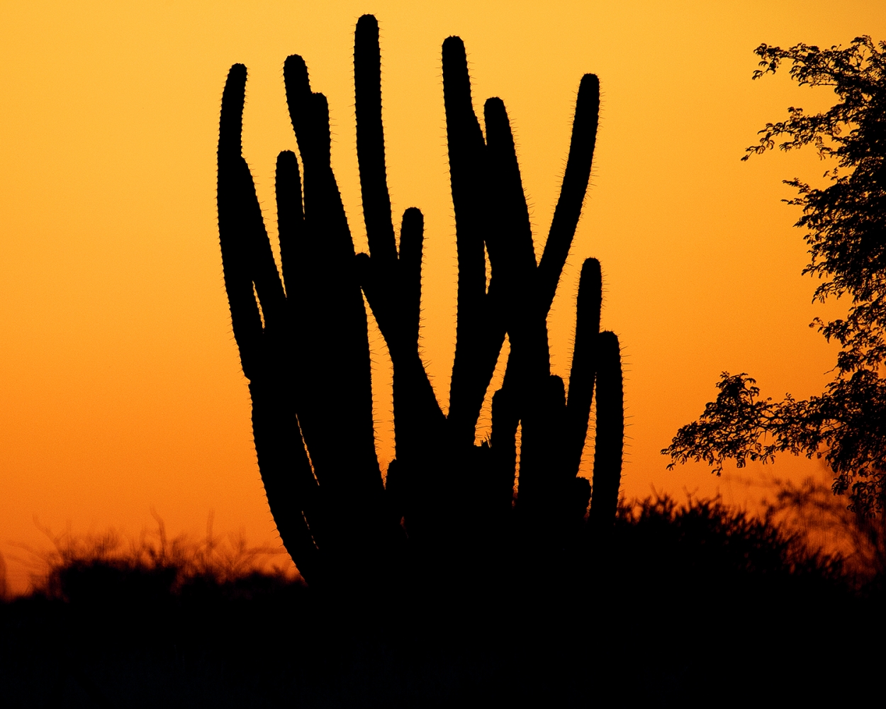 First days in Namibia – Lapa Lange Guest Farm