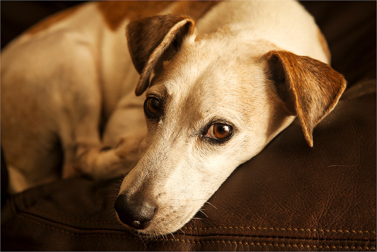 Fly Me To The Moon - Stellenbosch Flying Club