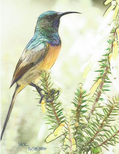 Fernkloof Nature Reserve: Hermanus