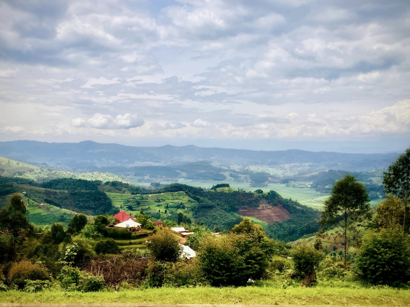I Wonder Rwanda, Is it All Tea Trees, Rainforests and Gorillas?