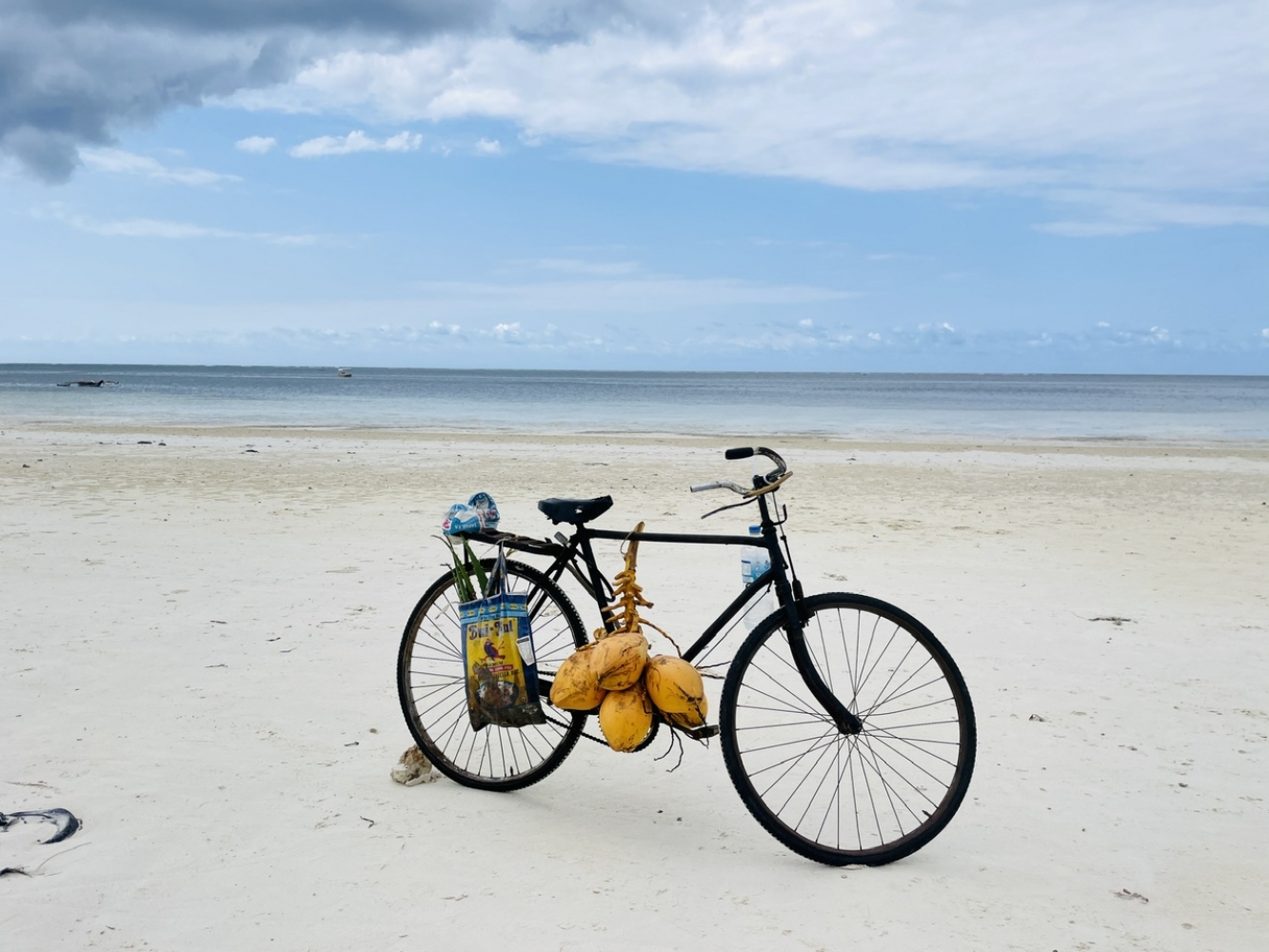 Island Style - Zipping Through Zany Zanzibar - It Is Hakuna Matata