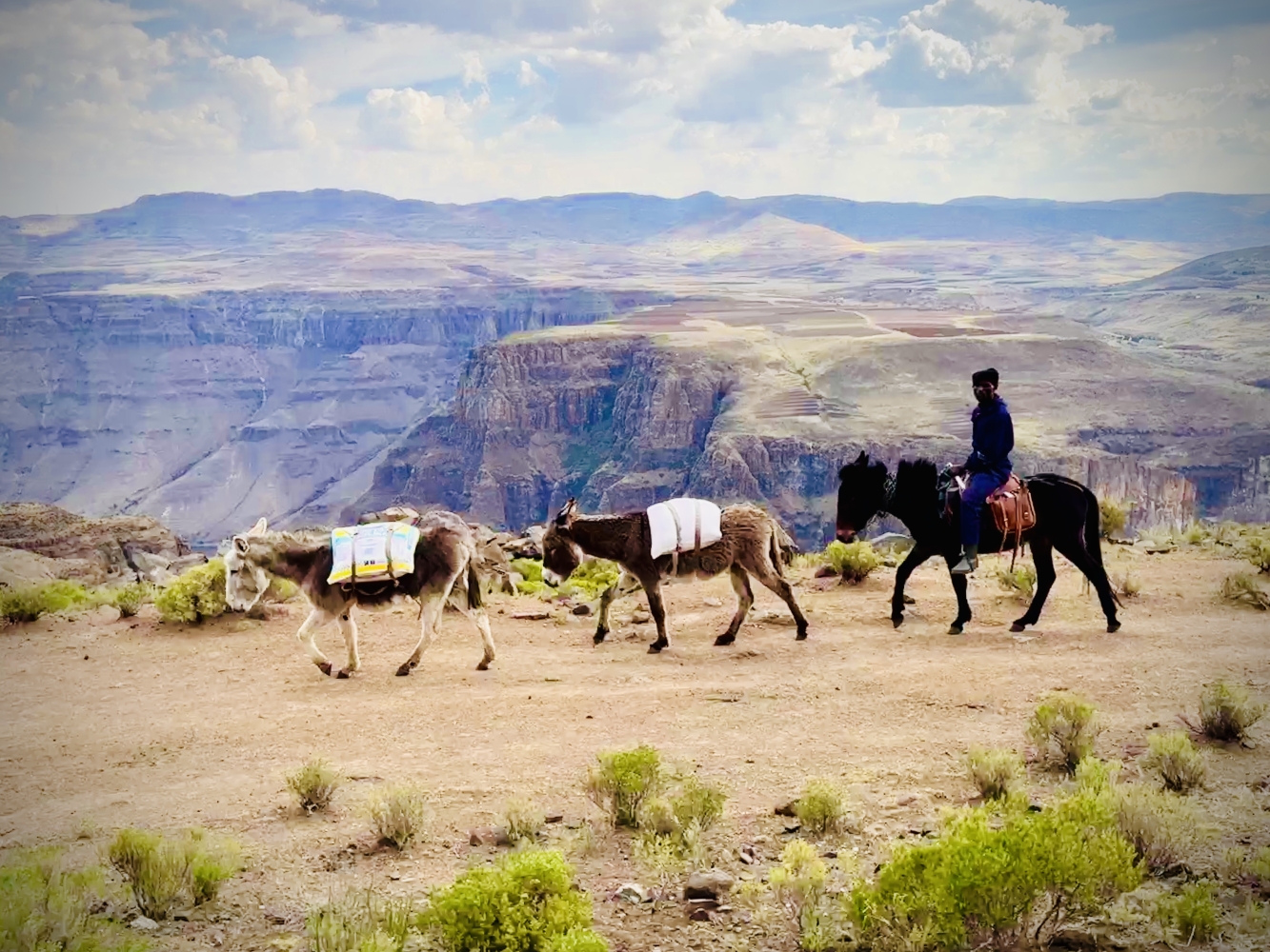 Lesotho – Semonkong Lodge – Spring Part 5