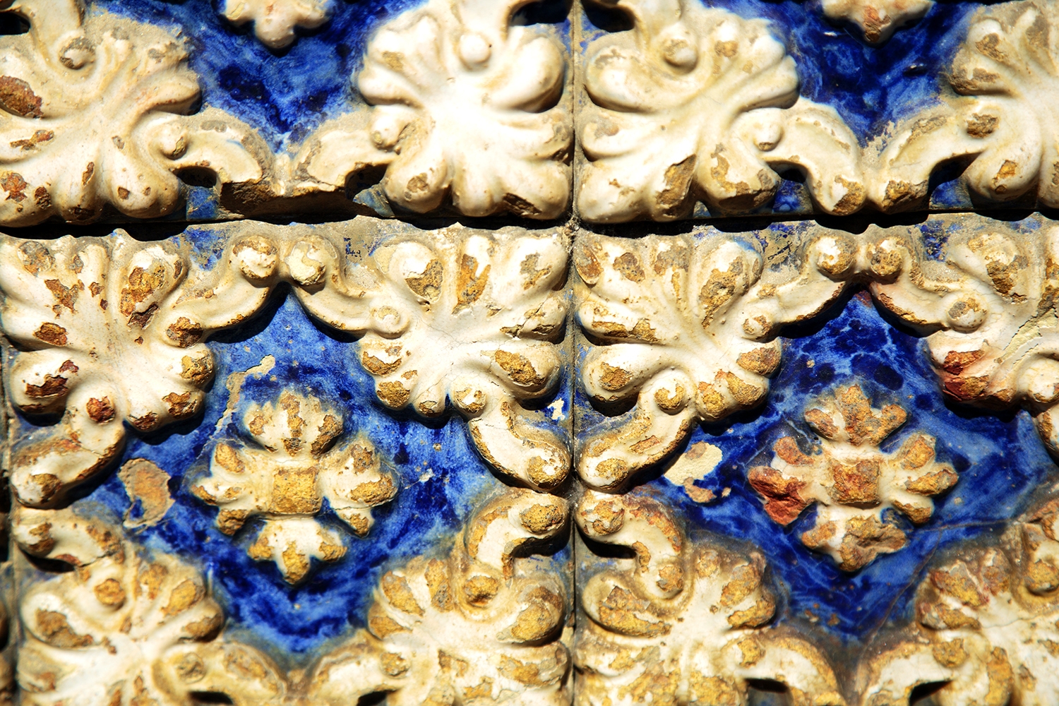 Lise, My Camino Compañero