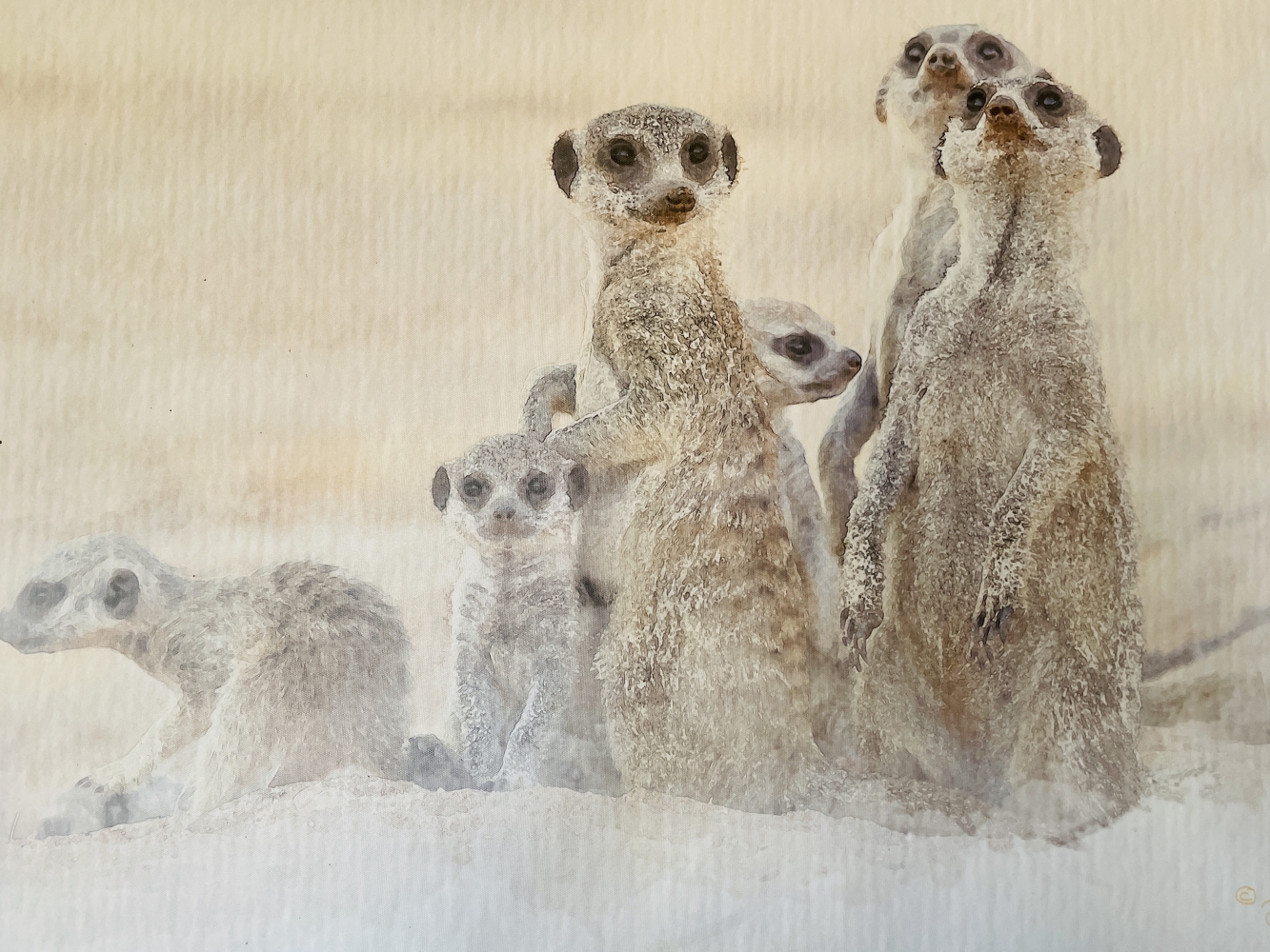 Nature Calls - Askam And A Meerkat Sanctuary