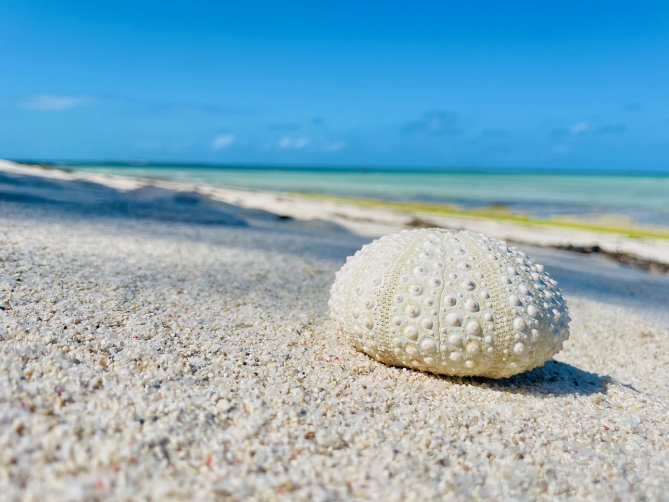 No Man(It)’s An Island – Ilha De Mozambique - It Was Love At First Sight
