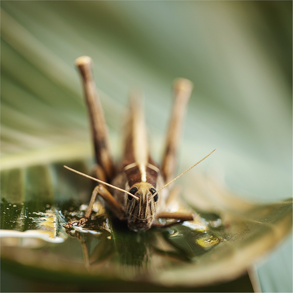 Odds And Sods In Macro
