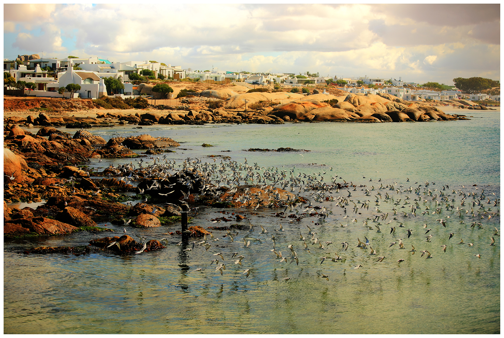 Oep ve Koep bistro Paternoster  