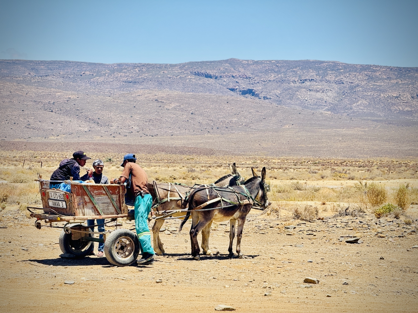 Road Tripping - The Honey Badger and Dora The Explorer Go Wild - Summer Part 5